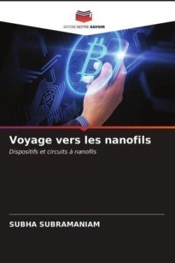 Voyage vers les nanofils