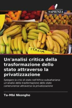 Un'analisi critica della trasformazione dello stato attraverso la privatizzazione