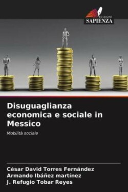 Disuguaglianza economica e sociale in Messico