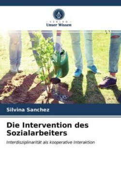 Intervention des Sozialarbeiters