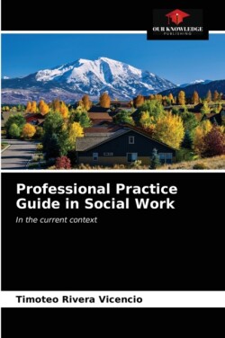 Professional Practice Guide in Social Work