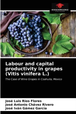 Labour and capital productivity in grapes (Vitis vinifera L.)