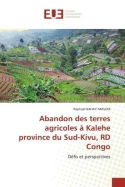 Abandon des terres agricoles à Kalehe province du Sud-Kivu, RD Congo