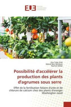 Possibilité d'accélérer la production des plants d'agrumes sous serre