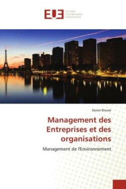 Management des Entreprises et des organisations
