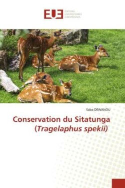 Conservation du Sitatunga (Tragelaphus spekii)