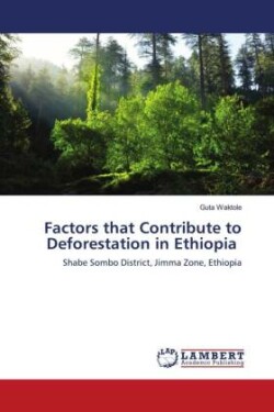 Factors that Contribute to Deforestation in Ethiopia