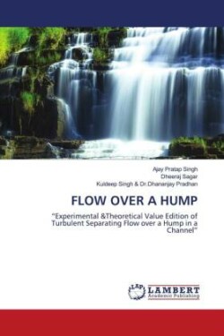 Flow Over a Hump