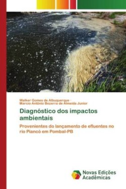 Diagnóstico dos impactos ambientais