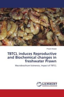 TBTCL induces Reproductive and Biochemical changes in freshwater Prawn