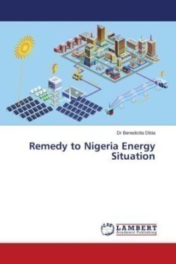 Remedy to Nigeria Energy Situation