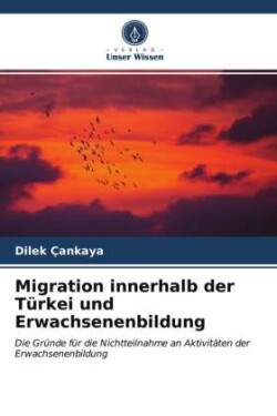 Migration innerhalb der Türkei und Erwachsenenbildung