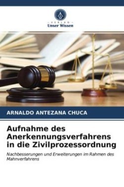 Aufnahme des Anerkennungsverfahrens in die Zivilprozessordnung