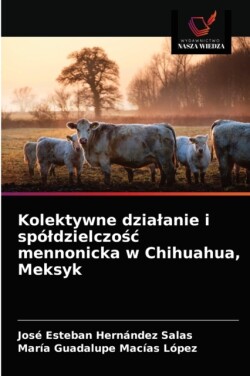 Kolektywne dzialanie i spóldzielczośc mennonicka w Chihuahua, Meksyk