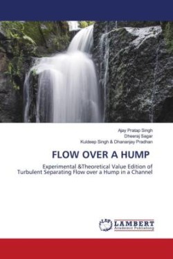 Flow Over a Hump