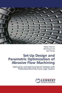 Set-Up Design and Parametric Optimization of Abrasive Flow Machining