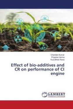 Effect of bio-additives and CR on performance of CI engine