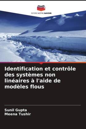 Identification et contrôle des systèmes non linéaires à l'aide de modèles flous