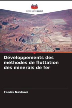 Développements des méthodes de flottation des minerais de fer