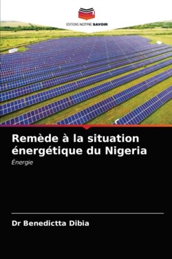 Remède à la situation énergétique du Nigeria