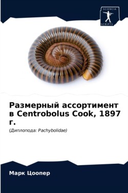 Размерный ассортимент в Centrobolus Cook, 1897 г.