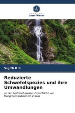 Reduzierte Schwefelspezies und ihre Umwandlungen