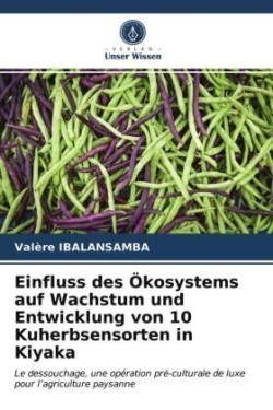 Einfluss des Ökosystems auf Wachstum und Entwicklung von 10 Kuherbsensorten in Kiyaka