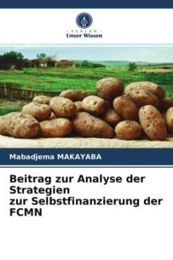 Beitrag zur Analyse der Strategien zur Selbstfinanzierung der FCMN