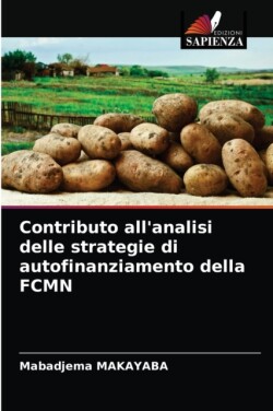 Contributo all'analisi delle strategie di autofinanziamento della FCMN