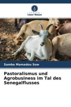 Pastoralismus und Agrobusiness im Tal des Senegalflusses