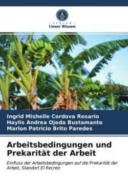Arbeitsbedingungen und Prekarität der Arbeit