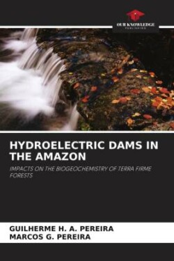 HYDROELECTRIC DAMS IN THE AMAZON