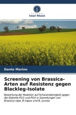 Screening von Brassica-Arten auf Resistenz gegen Blackleg-Isolate