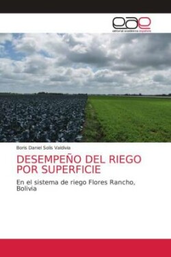 Desempeño del Riego Por Superficie