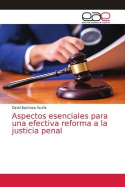 Aspectos esenciales para una efectiva reforma a la justicia penal