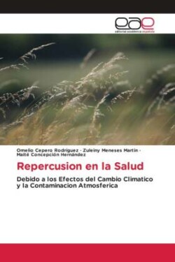 Repercusion en la Salud