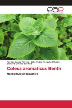 Coleus aromaticus Benth