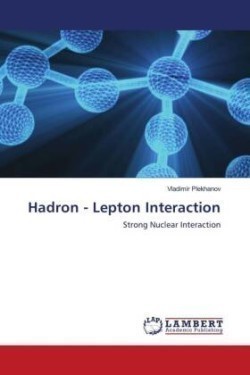 Hadron - Lepton Interaction