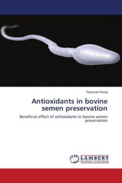 Antioxidants in bovine semen preservation