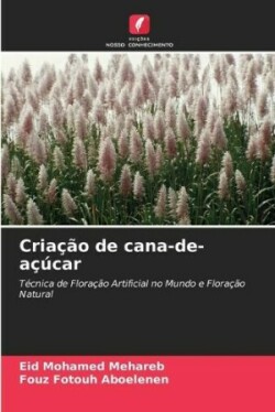 Criação de cana-de-açúcar