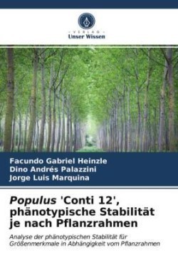 Populus 'Conti 12', phänotypische Stabilität je nach Pflanzrahmen