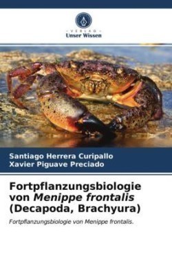 Fortpflanzungsbiologie von Menippe frontalis (Decapoda, Brachyura)