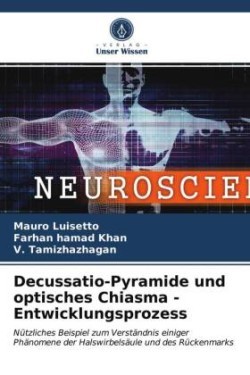 Decussatio-Pyramide und optisches Chiasma - Entwicklungsprozess