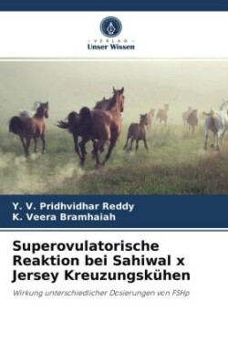Superovulatorische Reaktion bei Sahiwal x Jersey Kreuzungskühen
