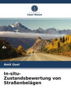 In-situ-Zustandsbewertung von Straßenbelägen