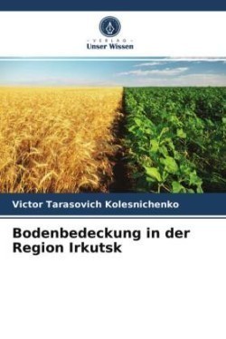 Bodenbedeckung in der Region Irkutsk