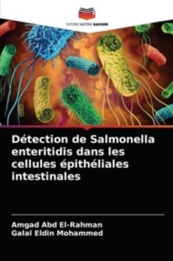 Détection de Salmonella enteritidis dans les cellules épithéliales intestinales