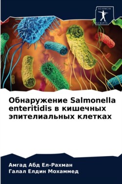 Обнаружение Salmonella enteritidis в кишечных эпителиальны&#1093