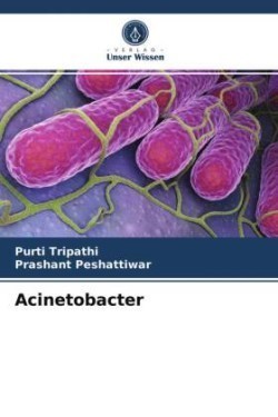 Acinetobacter