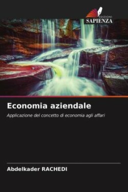 Economia aziendale